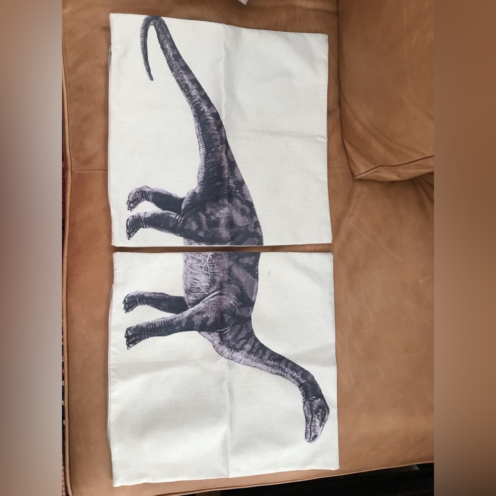 Dinosaur pillow cases